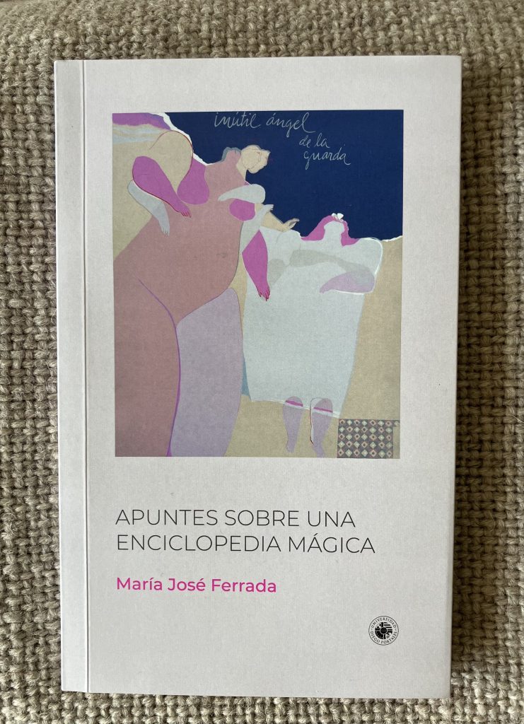 «Un pequeño mundo de cosas». Presentación de Apuntes para una enciclopedia mágica de María José Ferrada por Nina Avellaneda