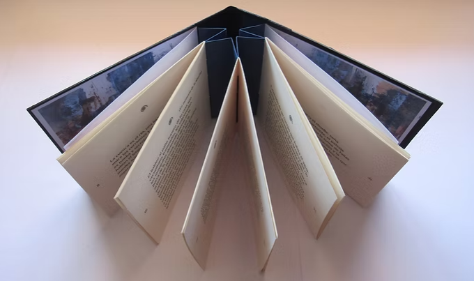 La escritura del agua, entre cobijo y abismo: Agua y manto de Cristina Bravo Montecinos por María José Cabezas